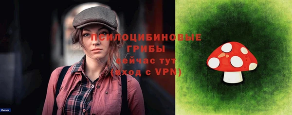 твердый Горнозаводск
