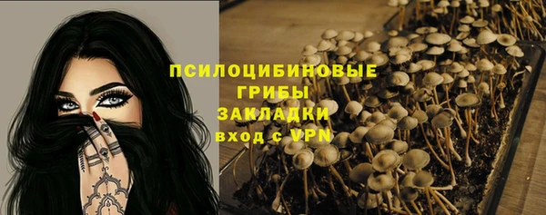 jwh Горняк